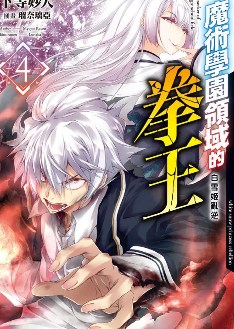 魔術學園領域的拳王