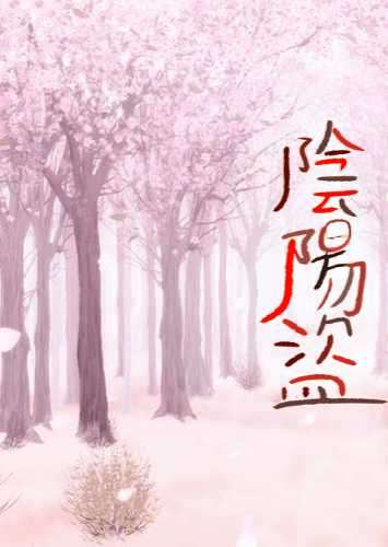 陰陽盜