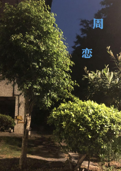 [原创][完结]周恋——简短的学生时代恋爱回忆录