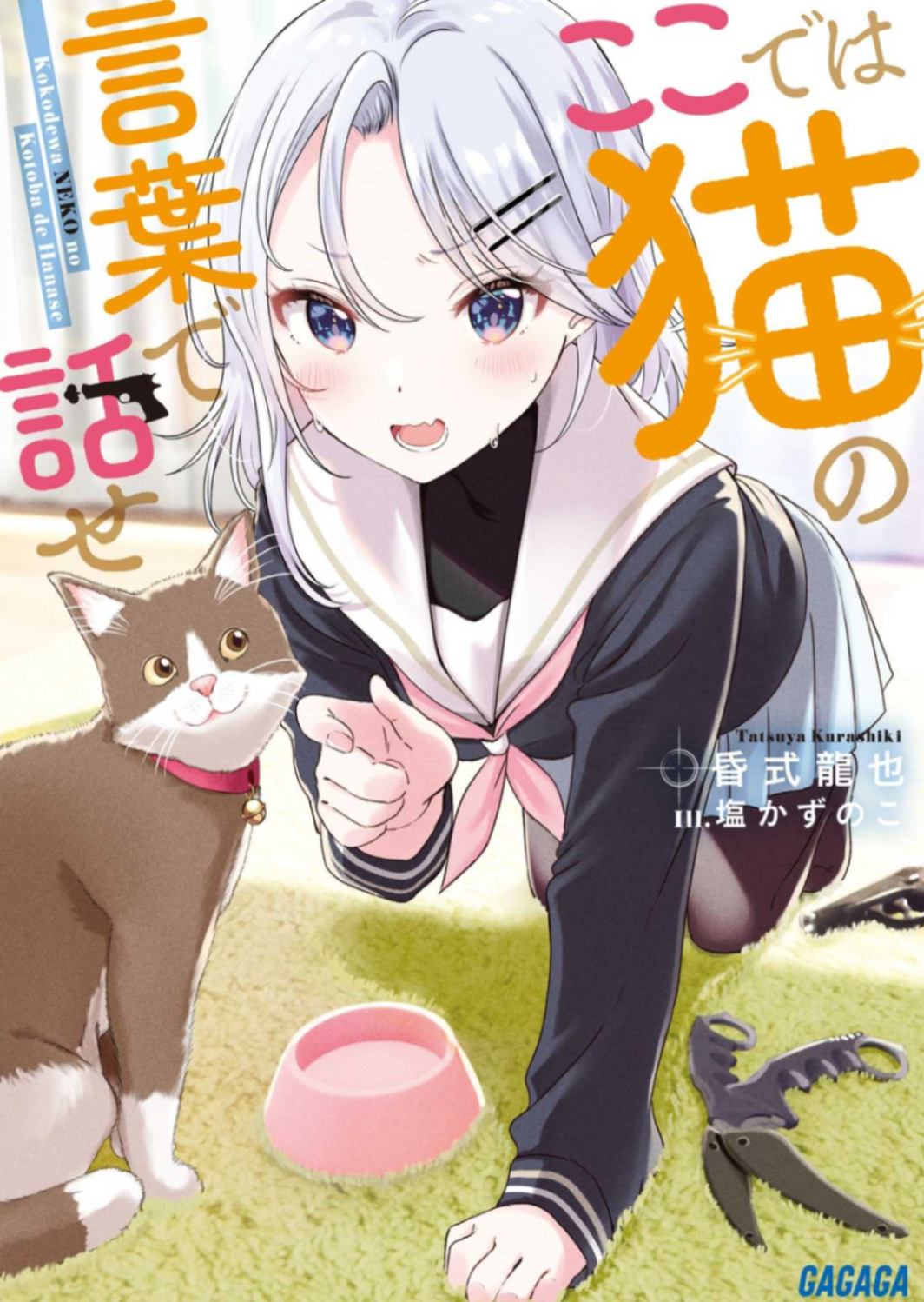 在这里说猫话