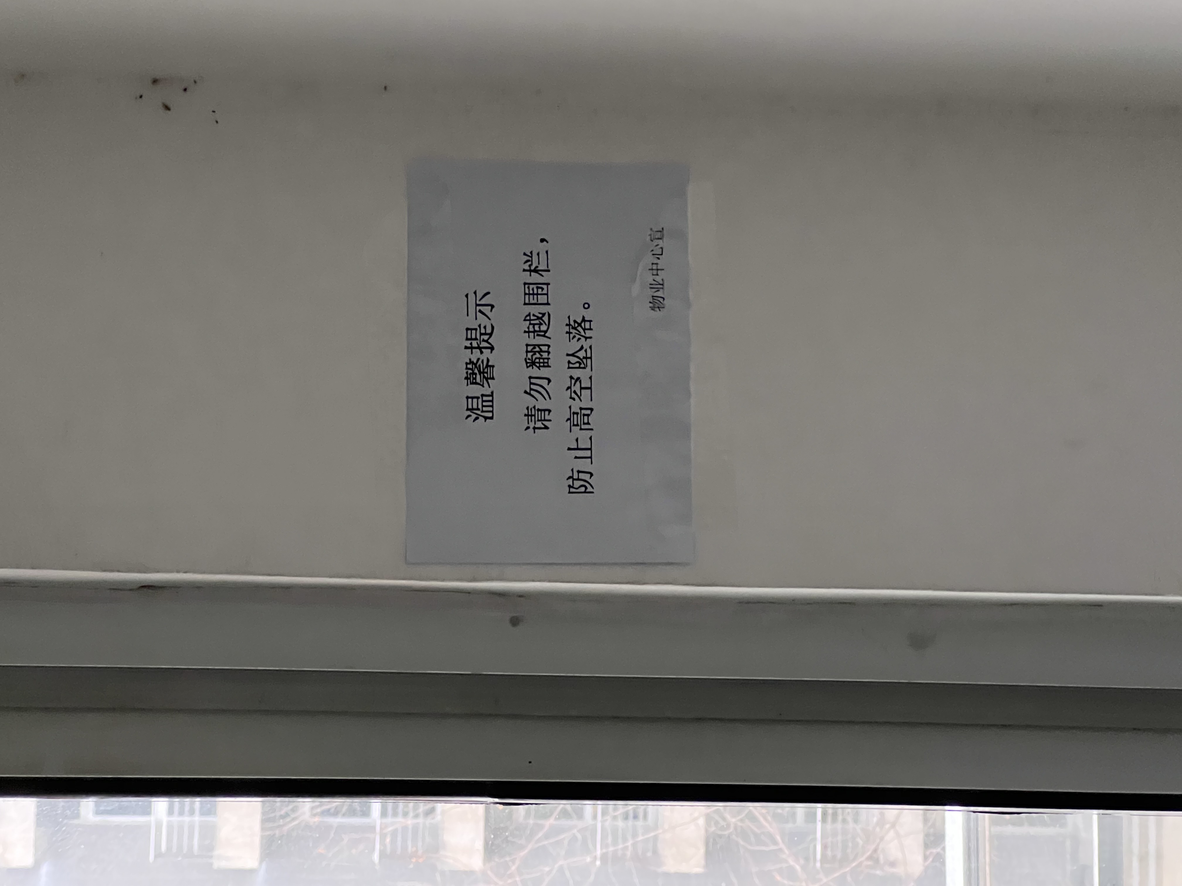 弱小之人也配拥有爱情吗