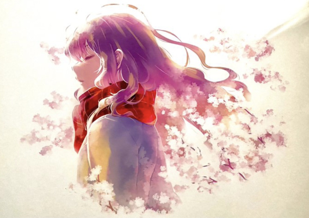 《冬日的樱花,无声的心跳》