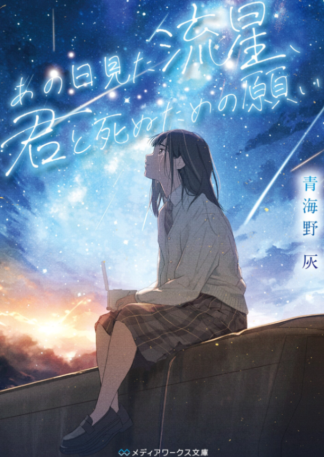 那天所见的流星,为与你一同死去的祈愿