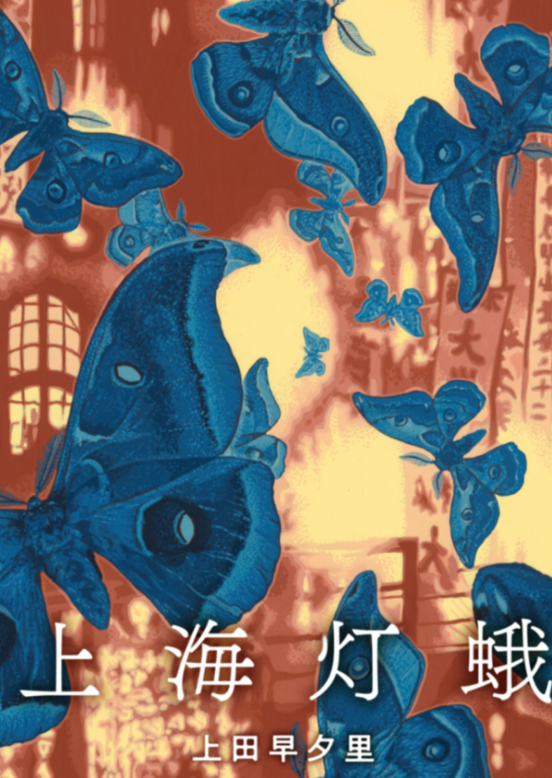 上海灯蛾