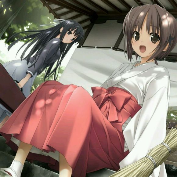 《逃往仲夏之夜》