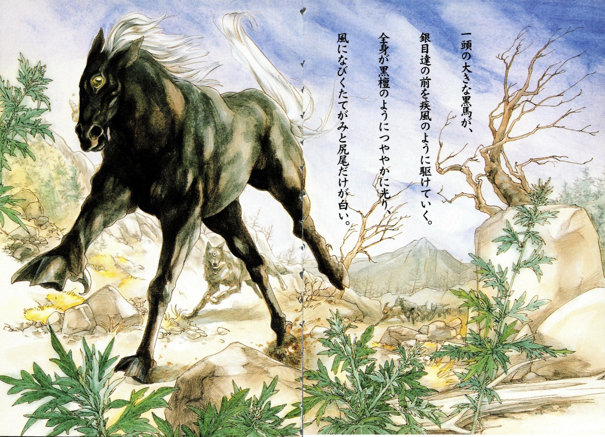 章节插图 21