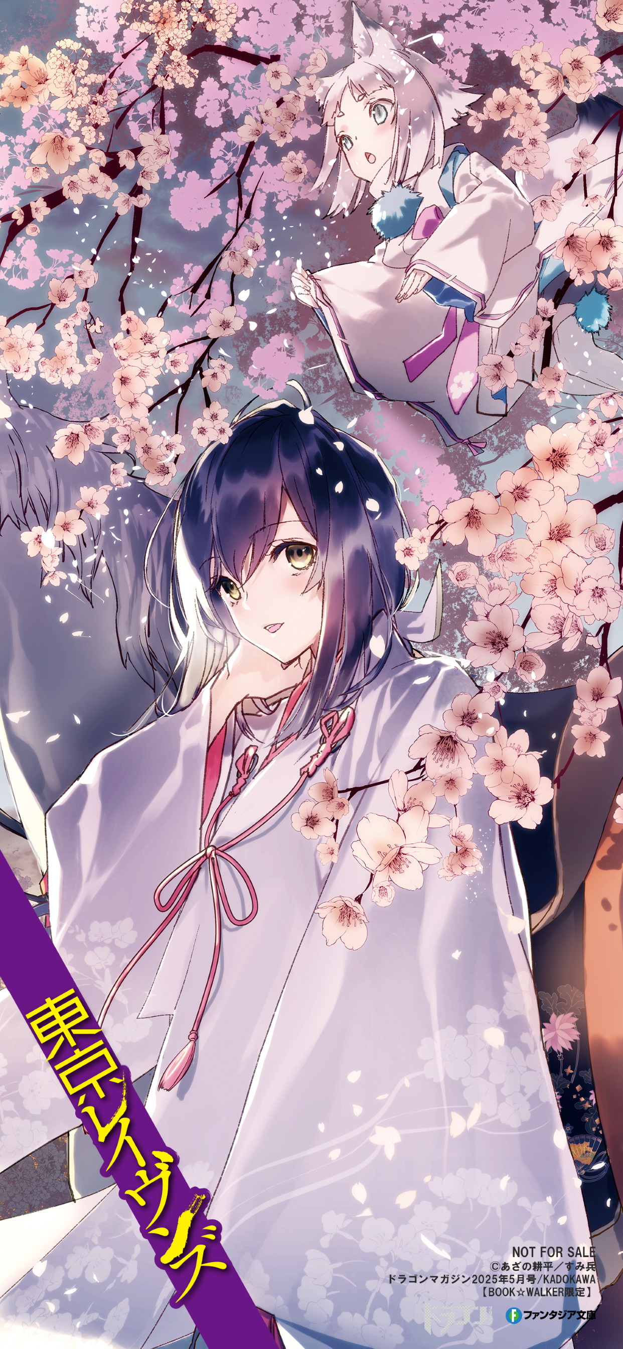 东京暗鸦 主人与式神