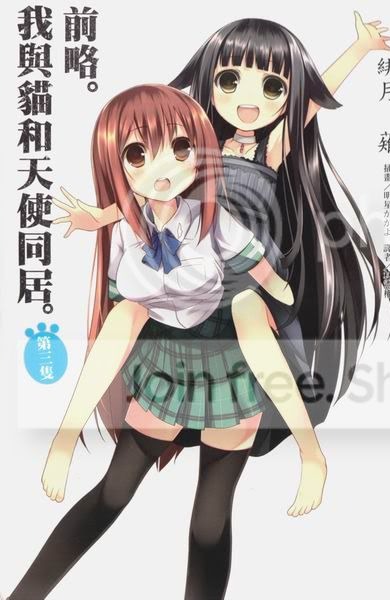 前略。我与猫和天使同居