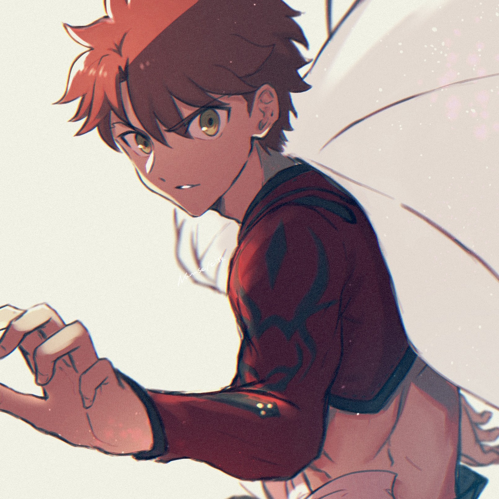 liwudi