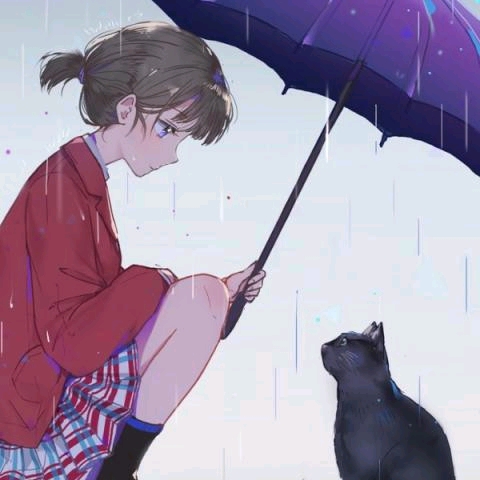 重离子