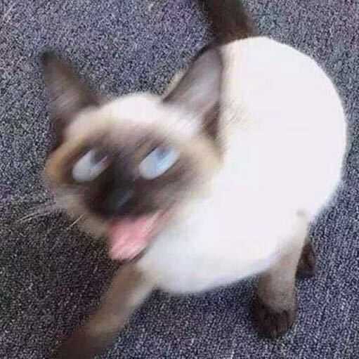 侠之大者