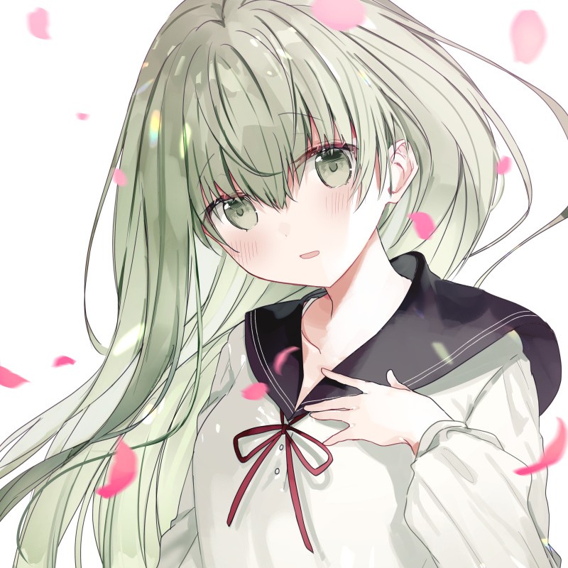 星之彩的猫