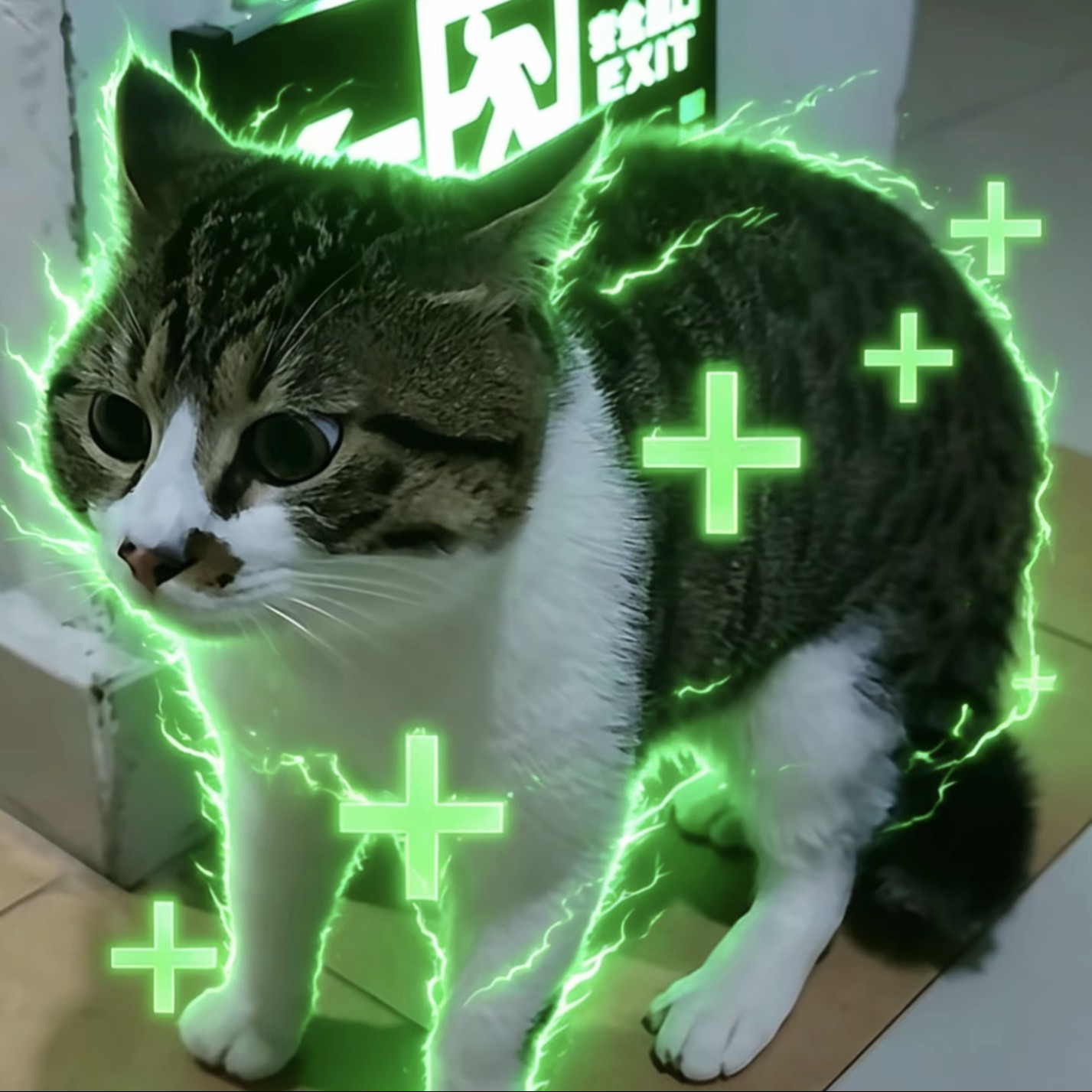 zailache
