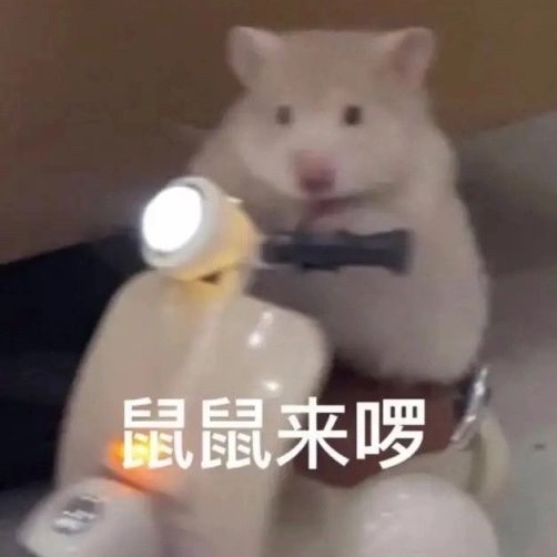 闲云野鹤x