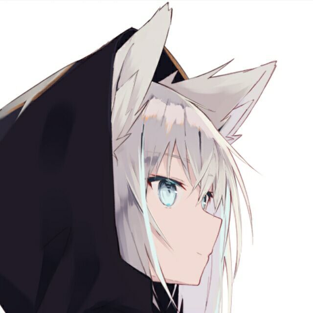 雨鸢