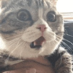 蛊惑之刻