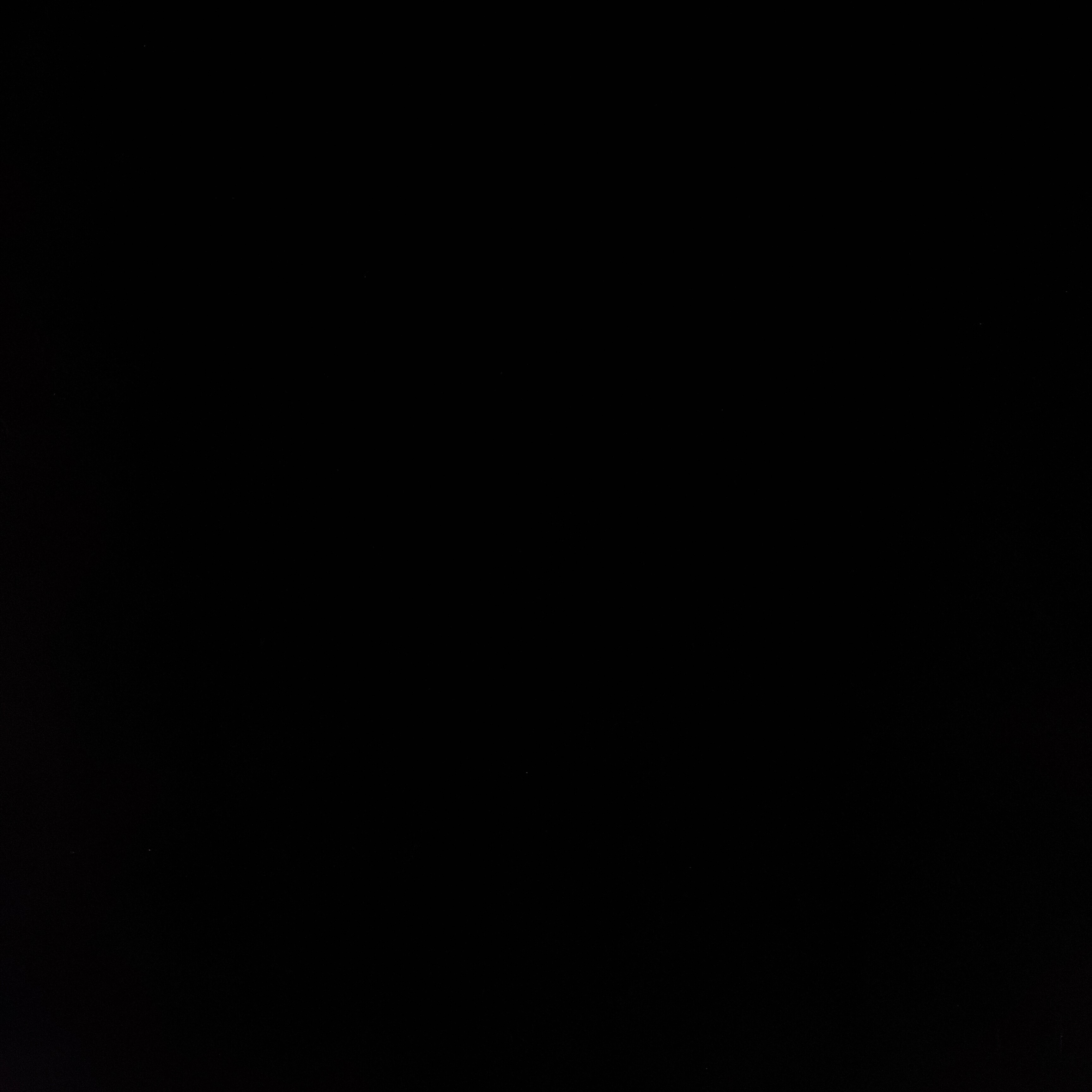 bin0808