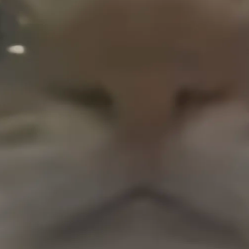 丹列