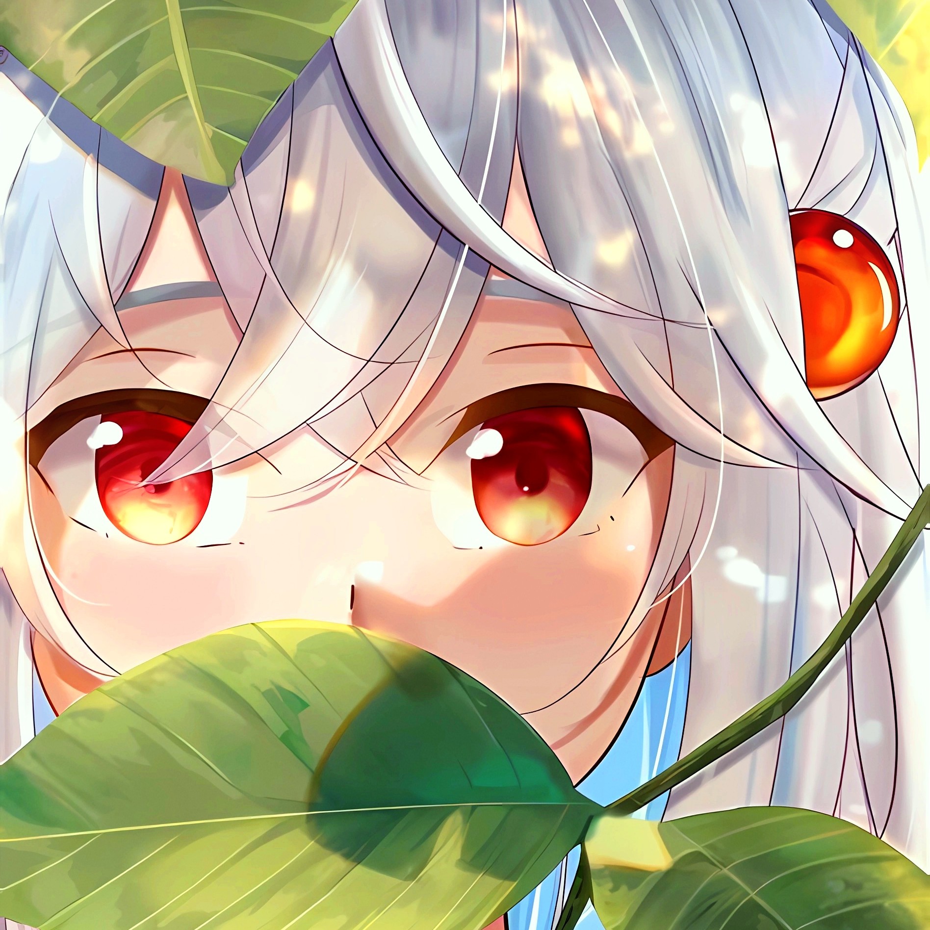 xy-高歌樽酒