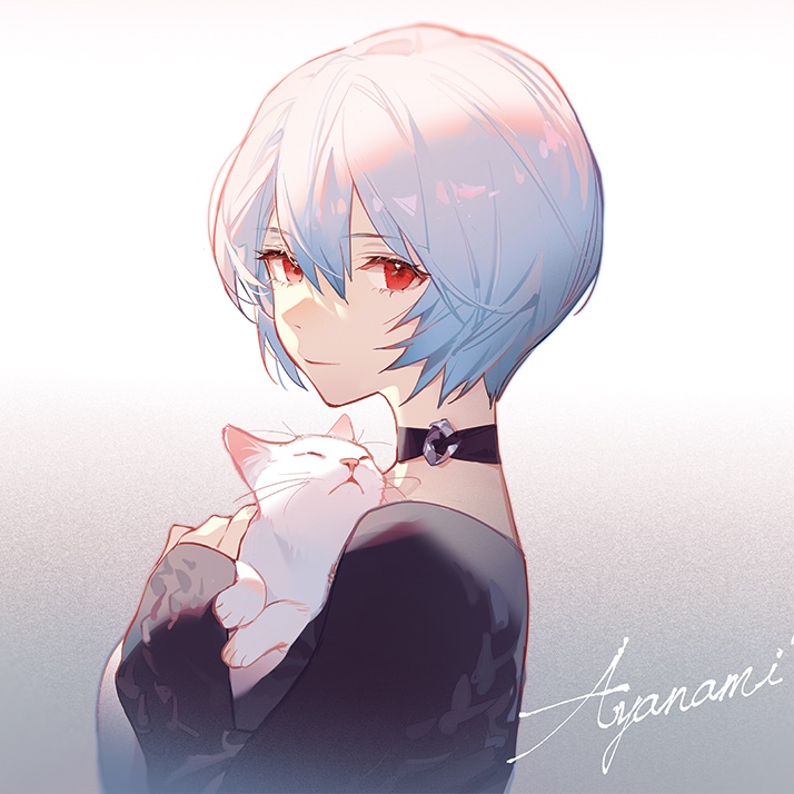 zrshuai