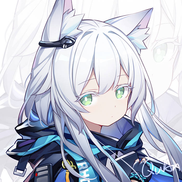 akizukik