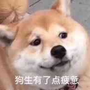 祁雫灬零