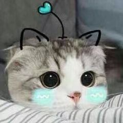 司涯SIYA