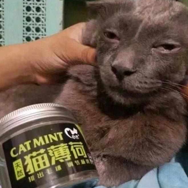 高爆鱼雷