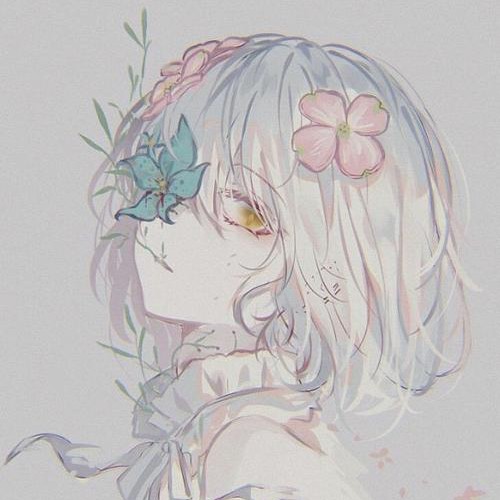 公羽寒