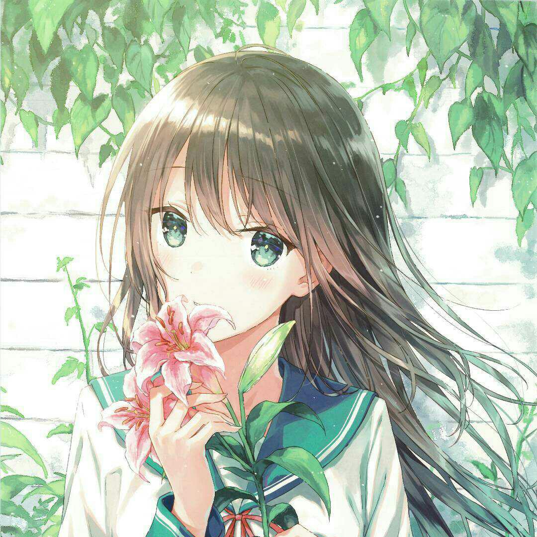 ·遥梦青城·