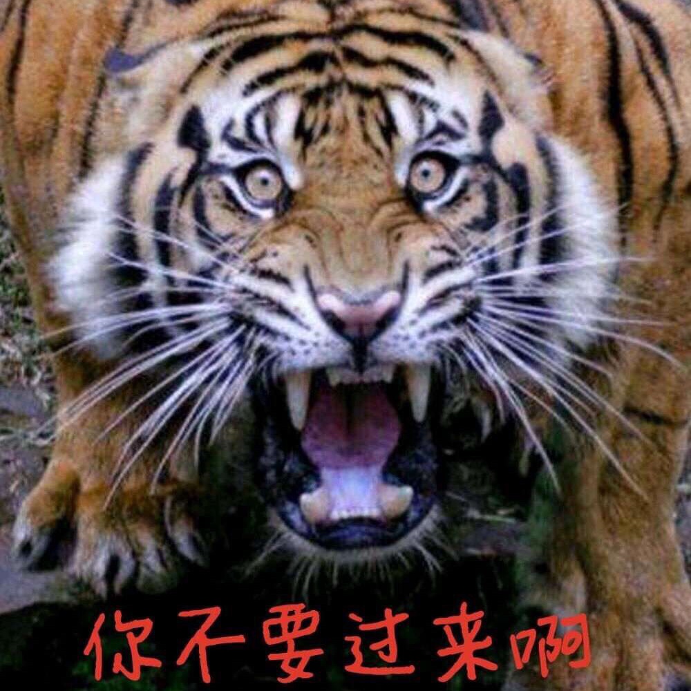 燎炎魔刃