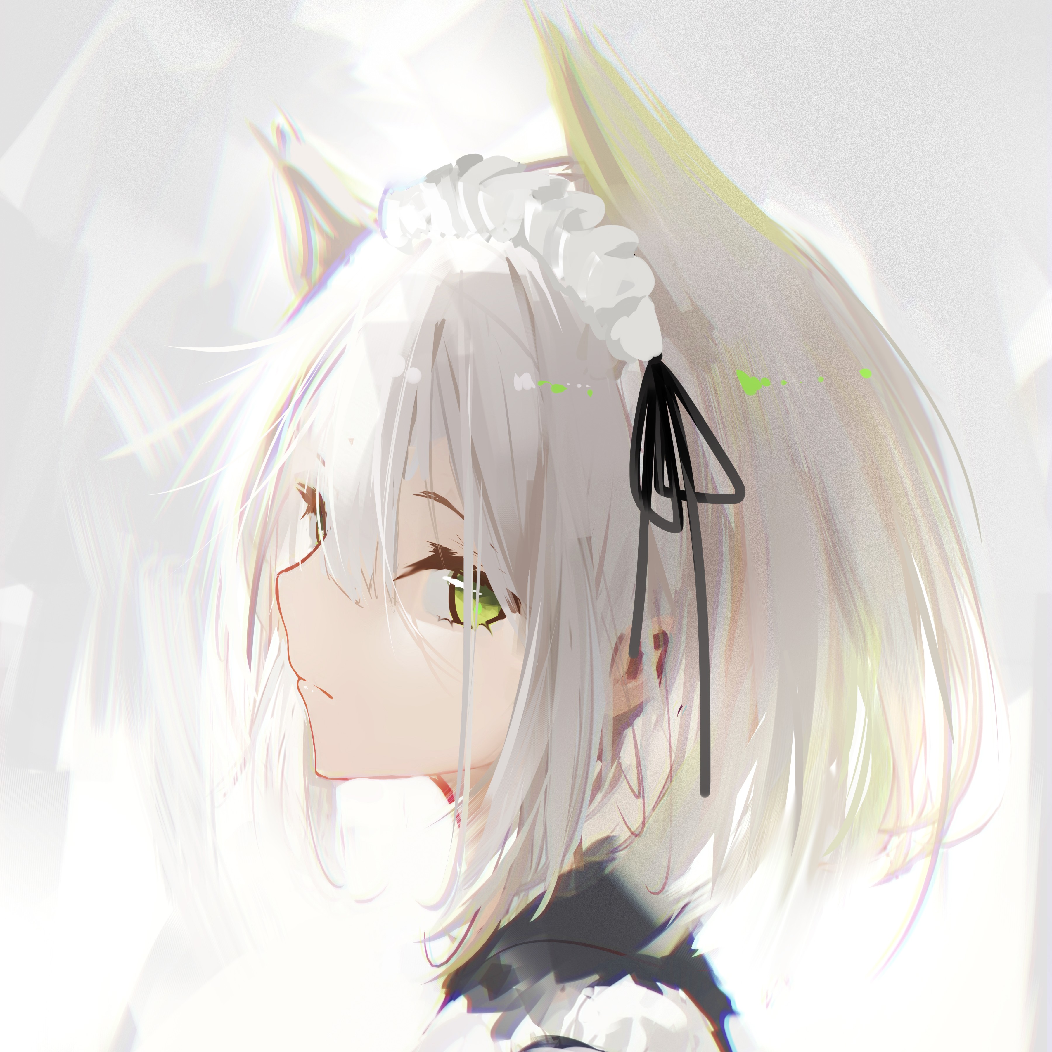 蝉时雨