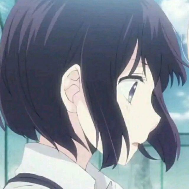 华风佳梦