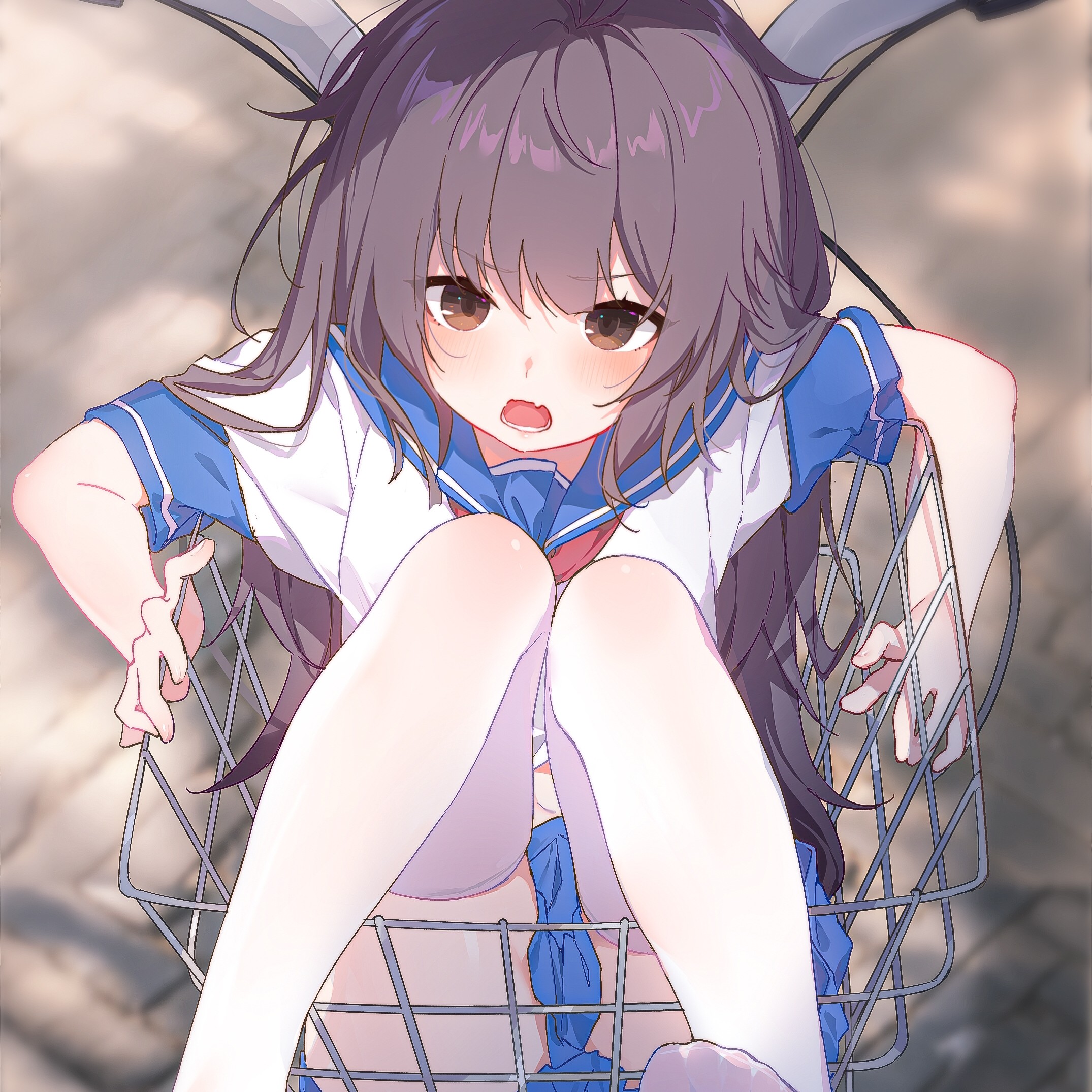 lpz