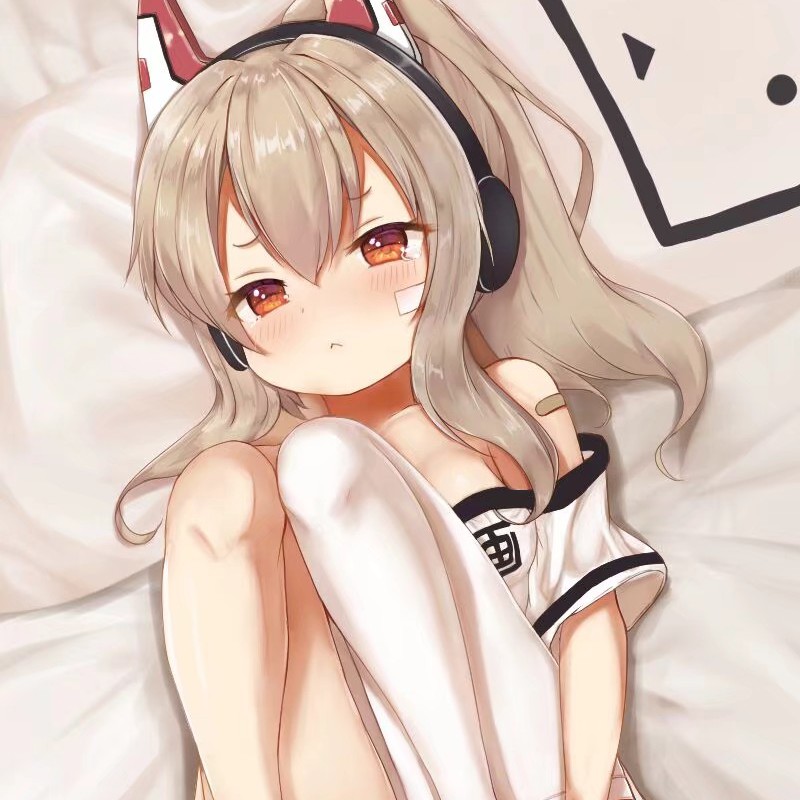 AKAGI  KAGA