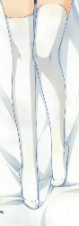 sakurachii