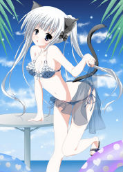 zhouzongxing
