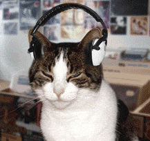 yanhanswon