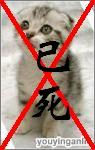 youyinganliu