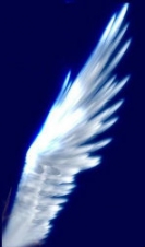 skymagic