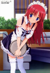 kotorilove