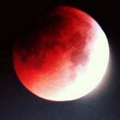 sanguine_moon