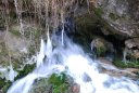 carlon