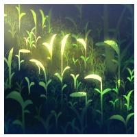 yfqh008