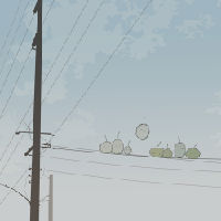 sasorika