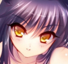 328806197