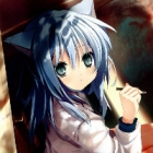 lsc4527329