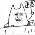 540730036