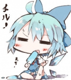 電車ネコ