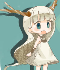橡木盾体